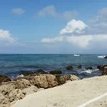 Irena Villa
